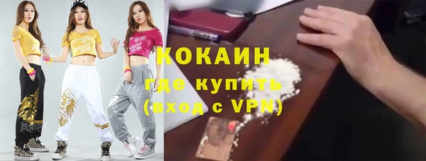 мяу мяу кристалл Ельня