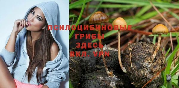прущая мука Дмитров