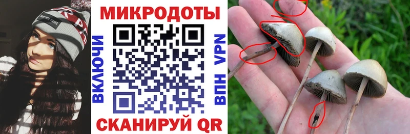 Псилоцибиновые грибы мицелий  Купить закладки  Зверево 